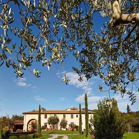 B&B ai Condotti di Pisa da Filippo San Giuliano Terme Esterno foto